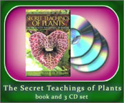 Cover-set-Secret_Teach150